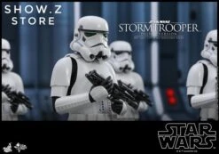 Hot Toys HT 1/6 Stormtrooper Storm Trooper MMS514 Star Wars Standard Version -Toy Specialty Store 6760f5bf6e