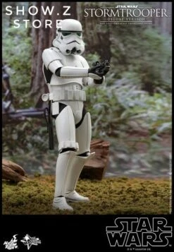 Hot Toys HT 1/6 Stormtrooper Storm Trooper MMS514 Star Wars Standard Version -Toy Specialty Store beb3ee9e18